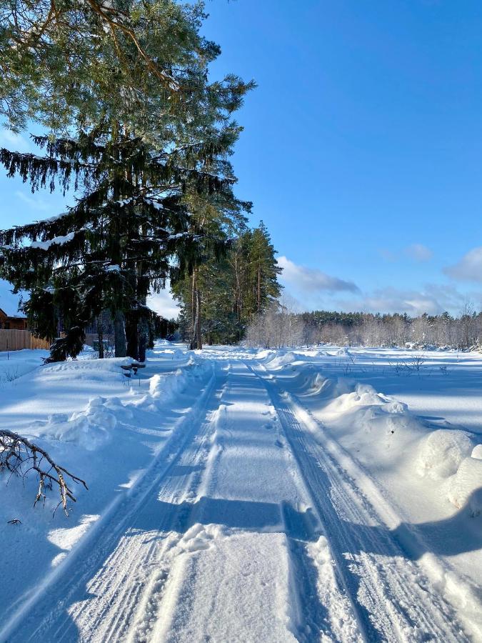 Caloroczne Domy Z Bala - Casa Del Czyzyk Serwy Buitenkant foto